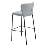 Linz Barstool, Gray, Set of 2