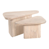 Navidic Coffee Table, Natural, Set of 2-Furniture - Accent Tables-High Fashion Home