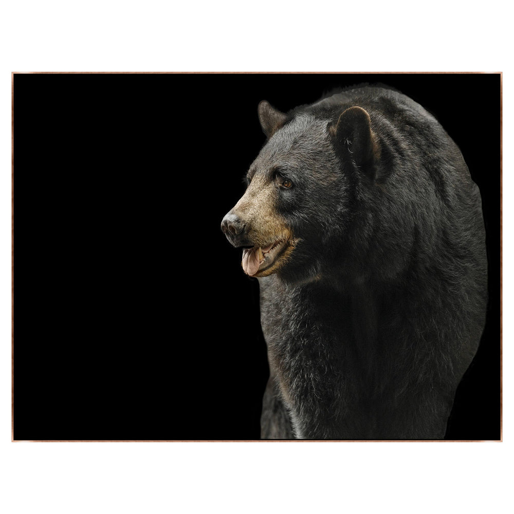 Black Bear I Framed-Accessories Artwork-High Fashion Home