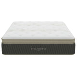 Hybrid Euro-Top Mattress by Becki Owens Home