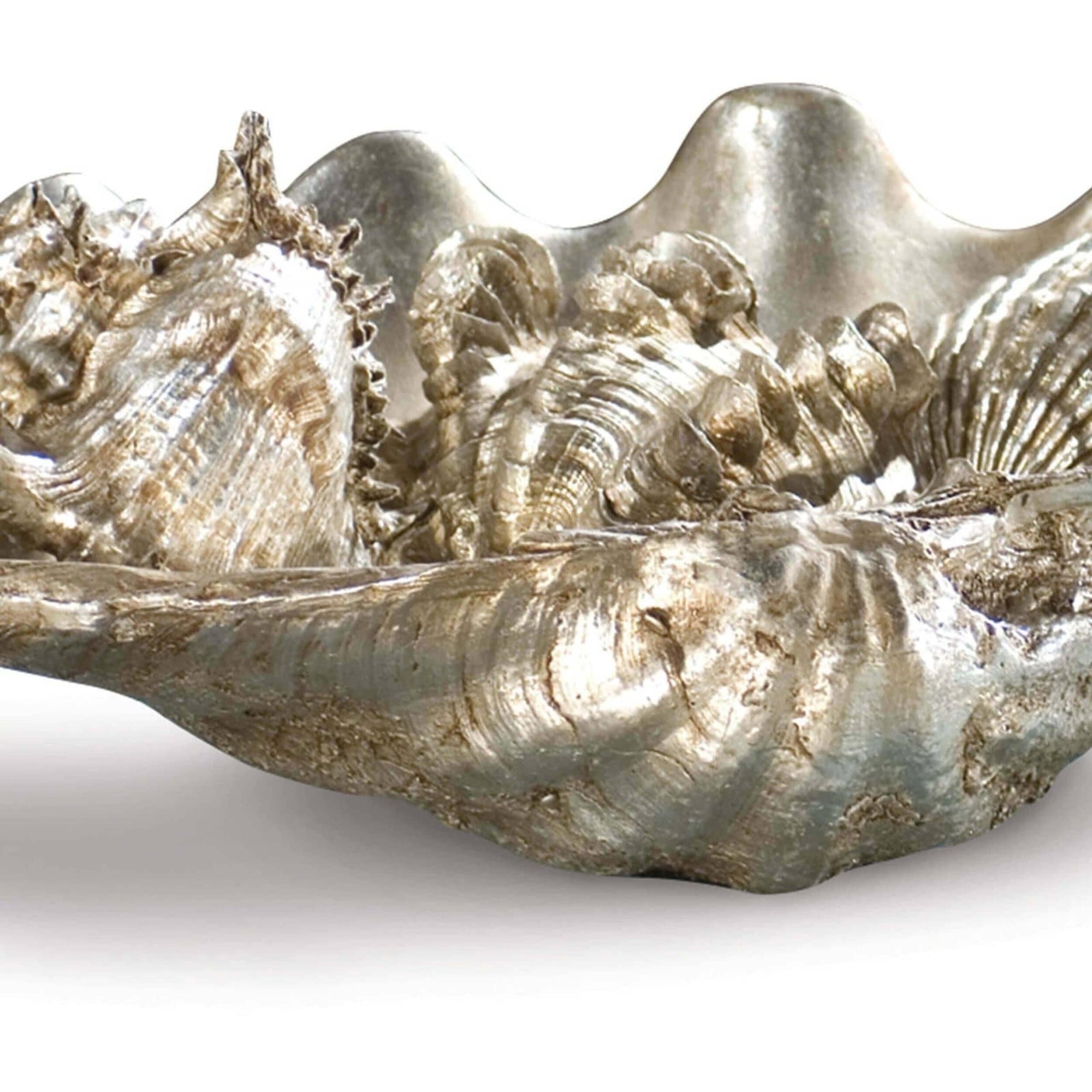 Clam Shell w/Small Shells – High Fashion Home